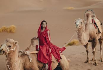 呼和浩特+库布齐沙漠+哈素海一日游 6人小团 ‖ 上门接送【纯玩无购物，呼和浩特市区免费上门接！】