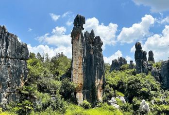 石林包车一日游：三环内免费接送+一单一团+纯玩无购物+自由行【[实力保障]昆明一日游集团品质严选线路，拥有自己的车队、导游、司机，全程品质把控，专业一手资源】