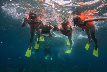 蓝梦岛和曼塔湾浮潜体验【加入我们，在美丽的努沙佩尼达岛和努沙蓝梦岛周围体验激动人心的浮潜之旅。 惊叹于广袤的珊瑚礁和各种各样的水生生物，例如海龟、海马等等！ 在努沙佩尼达岛的蝠鲼湾停留，您将有机会看到令人印象深刻的蝠鲼。】