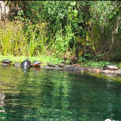 银泉州立公园玻璃底船+皮划艇之旅一日游