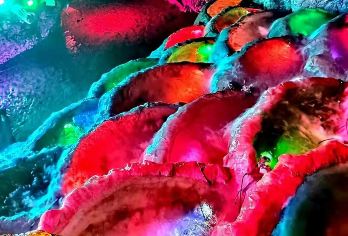 颛顼龙洞旅游景区+迤沙拉民族文化村【酒店接送 24小时在线服务 行程自由】