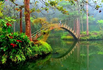 杉林溪森林生态渡假园区+溪头妖怪村一日游【2人同行1人免费】【限时优惠2人同行一人免费，探索台湾纯粹的自然美，踏上祕境寻幽之旅!】