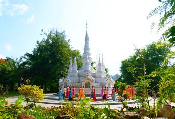 原始森林公园+曼听御花园一日游【傣王御花园+欣赏孔雀放飞】【2-8人团，市区酒店上门接送，全新体验，打破传统旅游观念；】