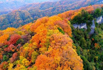 光雾山景区包车游【（汉中出发）光雾山 米仓山 十八月潭 】【包车独立发车，按照人数选择车型，价格指的是一辆车的价格，独立包车不拼团】
