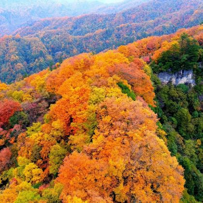 光雾山景区包车游【（汉中出发）光雾山 米仓山 十八月潭 】