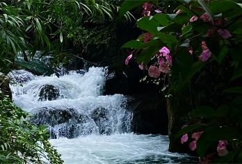 青城后山一日游【纯包车&1单1团&自由出行&三环内接送】【[优势亮点]私家团、ViP一单一团，不拼车，不拼人，专车专用，属于专属空间。】