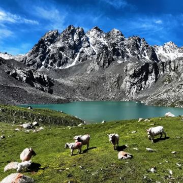 冰沟河+柴尔龙海+门票+登山仗+雨衣+航拍【小车团】