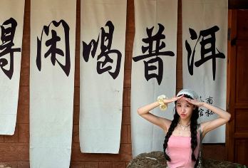 普洱中华普洱茶博览苑+那柯里村一日游【市区上门接送】【[精致小团]精致小团出游，不奔波不赶路，睡醒出发，上门接送】