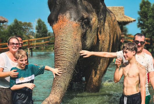 普吉岛环岛拼车+泰萌大象营泰餐烹饪一日游查龙寺普吉镇神仙半岛【[小团纯玩]至多12人，中文司机陪同，行程轻松不赶】