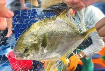 海南儋州海花岛旅游度假区【渔村赶海/邻昌礁赶海/出海捕鱼】【海花岛周边原始渔村赶海】