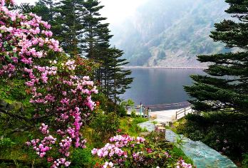 西昌螺髻山一日游【纯包车 上门接送 随走随停】【上门接送-边走边玩-时间自由】