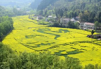 汉中油菜花勉县龙湾+诸葛古镇+兴汉胜境2-6人小团【1.[2-6人小团]严选安全舒适车辆，当地老司机保驾护航，旅途更舒适，享受自在美好旅行。】