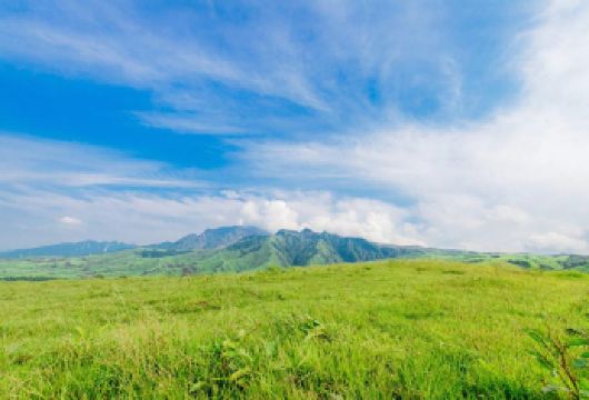 日本熊本阿苏山+草千里+高千穗峡一日游/行程可调-可定制多日【精选热门景点，高效游玩不走回头路，深度了解文化内涵，贴心服务保障，轻松享受旅程，性价比超高的旅行。】