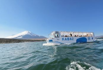 东京富士山一日游：忍野八海+山中湖Kaba【含午餐9人团】【富士山网红线：山中湖河口湖&日川时计店远眺富士山&网红罗森打卡！】