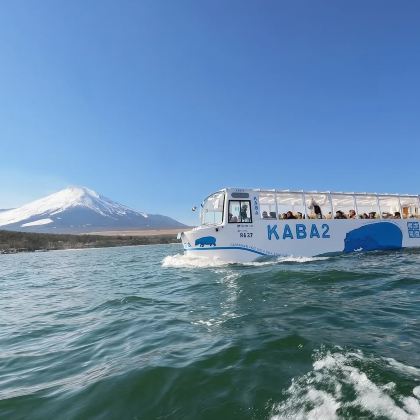 【9人小团】东京富士山一日游：忍野八海+KabaBus体验