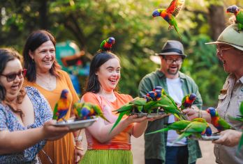 黄金海岸可伦宾动物园【可选抱考拉合影/考拉早餐/考拉下午茶】【[景区直签]多套餐任选：动物园门票 / 门票+抱考拉合影 / 门票+考拉早餐 / 门票+考拉下午茶】