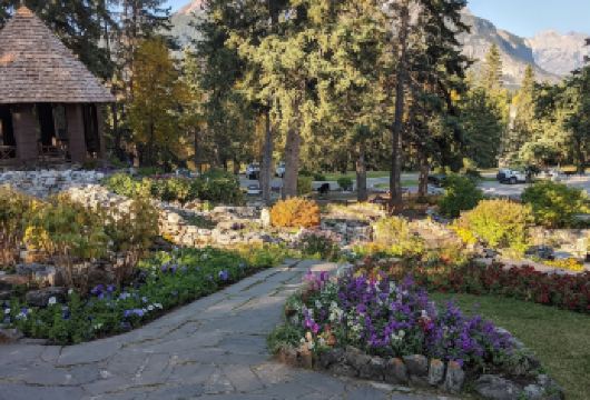 加拿大卡尔加里-瀑布花园-路易丝湖-可订制【中文包车自由行】【中文专车出行，行程自己定义，无需等待，专属贴心服务，尽享惬意旅程】