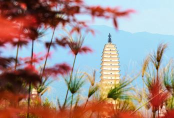 大理崇圣寺三塔+喜洲+洱海+洱海游船+双廊+南诏风情岛一日游【[苾游景点]三塔、洱海、喜洲、洱海大游船、双廊、南诏风情岛精华景点一次游完，不留遗憾】