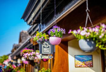 无锡灵山大佛+禅意小镇·拈花湾一日游【 上海出发·甄选纯玩】【[精选纯玩]：5A精选畅游，本地导游贴心安排，气氛之旅，没有噱头，臻纯玩，不进请香店， 醉美景！】