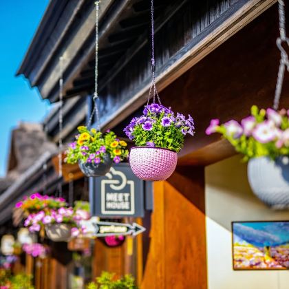 无锡灵山大佛+禅意小镇·拈花湾一日游【 上海出发·甄选纯玩】