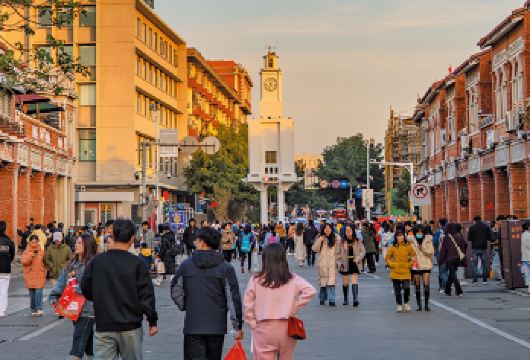 泉州洛阳桥+蟳埔村+开元寺+西街一日包车游【品质出游】