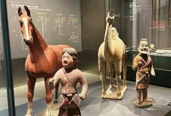 陕西考古博物馆半日游【含门票+大咖讲解+耳麦+赠汉服体验】【大咖带你探索陕西考古博物馆&国宝荟萃，深度讲解2.5H小时+防蹭无线耳麦】