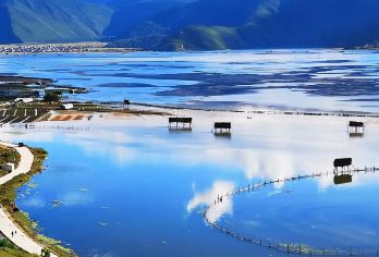 香格里拉纳帕海(依拉草原)半日游【市区范围上门接送】【景点直达，方便快捷~】