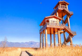 中午出发野鸭湖国家湿地公园一日【户外郊游，亲子，朋友，情侣，休闲】