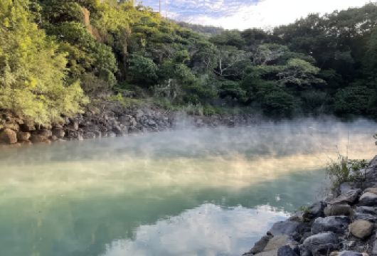 擎天岗、北投、阳明山之旅一日游【酒店接送】【逃离台北市区的喧嚣，一头扎进自然与温泉的双重治愈里！】