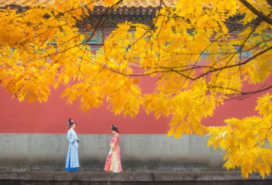 【从杭州出发-东阳】横店影视城+明清宫苑+清明上河图【纯玩儿，定制专车出行，行程自由】