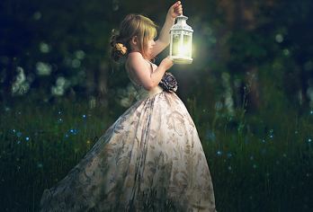 【接急单】黄金海岸萤火虫夜游中文小团 自然桥/天宝林两地可选【接急单--出行当天下午2点截单】