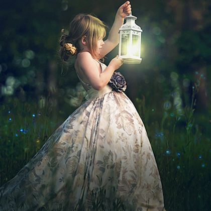 【接急单】黄金海岸萤火虫夜游中文小团 自然桥/天宝林两地可选