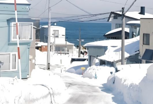 日本旭山动物园-旭川拉面村-富田农场【北海道中文专车】【中文专车出行，景点灵活调整，打卡经典，游玩自己定义，无需等待，专属贴心服务，尽享惬意旅程】
