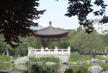 西安博物院+小雁塔+大唐芙蓉园+大唐不夜城*感受盛唐历史文化【走进历史，了解历史，感悟历史悠悠千年智慧的伟大】