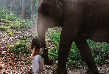 西双版纳野象谷一日游体验/可选雨林牧象/大象体检/大象洗澡【[邂逅野象]带您进入热带雨林，深处寻觅野象踪迹，开启您的探索之旅】
