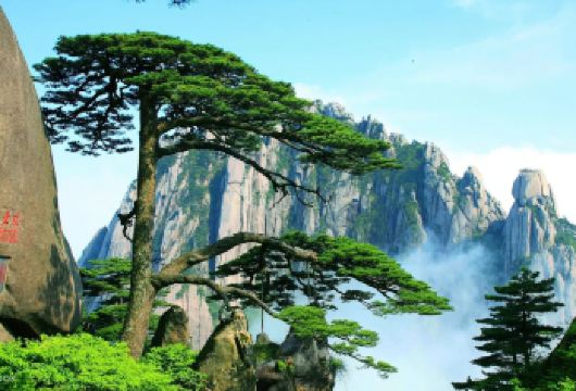 黄山：私人陪爬服务｜专业导游｜景点讲解｜一单一团｜中英多语种【提供中文等等多语种导游】