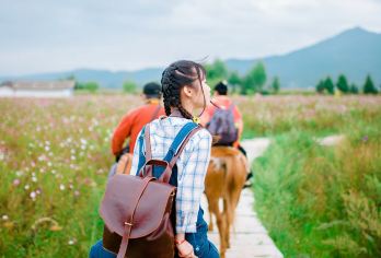 丽江拉市海湿地公园+拉市海茶马古道一日游【可定当天+多班次】【[安心出行]保证一人一座，行程透明，丽江古城周边客栈和酒店上门接送】