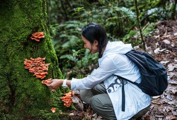 腾冲高黎贡山一日游【侏罗纪阿祖姆原始森林9公里徒步】【[探索原始秘境]认识自然生灵，聆听瀑布音乐、享受山野温泉、偶遇小精灵；】