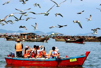 大连金石滩度假区+滨海国家地质公园+黄金海岸一日游·私家团【[精致小团]推荐2-6人迷你小团，家庭独立团，市中心酒店上门接送】