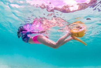 甲米出海浮潜·皮皮岛+竹子岛+玛雅湾一日游 快艇含餐含接送【大小皮皮+竹子岛跳岛游，满足你的海岛瘾】