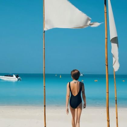 芭堤雅格兰岛一日游【曼谷&芭堤雅出发|可选拖拽伞香蕉船】