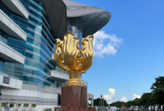 探索中国香港1日纯玩丨赠送流量卡+含午餐+天星小轮丨多地往返【商业中心自由活动感受香港购物天堂的魅力！】