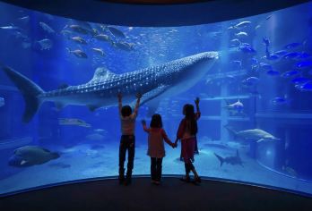 日本大阪乐高探索中心+大阪城-可定制【中文专车-舒适纯净】【中文专车出行，景点灵活调整，打卡经典，游玩自己定义，无需等待，专属贴心服务，尽享惬意旅程】