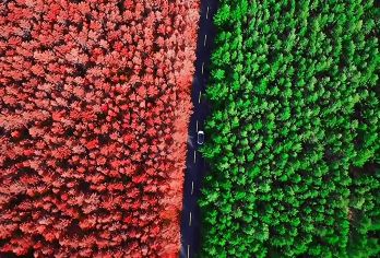 呼和浩特哈达门森林公园一日游丨纯玩丨可选2-8人精品小团【[轻松出行]丨市区直达景区丨纯玩团、无强制消费、无任何隐形购物丨】