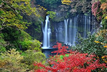 【名古屋起止】静冈一日游（4-6人精品小包团）精华景点深度游【[安全保障]全程商务保姆车+集合地范围2公里酒店上门接送+驾龄优质老司机保驾护航，沟通无障碍】