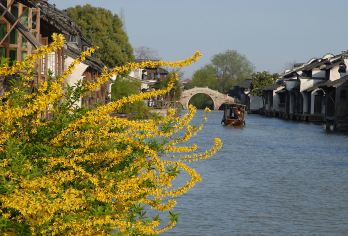 乌镇+乌镇西栅景区+乌镇东栅景区+乌镇南栅包车一日游【包车/拼车行程/时间自由选择】