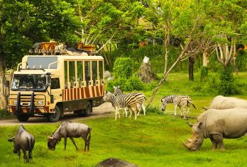 巴厘岛野生动物园【专车接送 | 多种套餐 | 亲子情侣优选】【2人成团，专车私享，纯玩无购物】