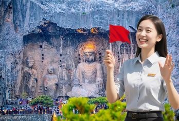 龙门石窟◆白马寺◆洛阳博物馆一日游【市区接◆导游讲解◆纯玩【范围内酒店上门接，返程沿途顺路均可就近下车，也可在应天门或者洛阳火车站下车】