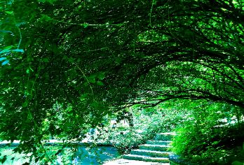 山西长治通天峡风景区一日游【长治出发通天峡1日游】【太行深处的大美水景，灵秀清新壮美】