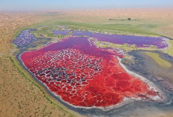 中国宁夏银川乌兰湖一日游【越野车穿越五湖-地球之心一日游】【独具特色】